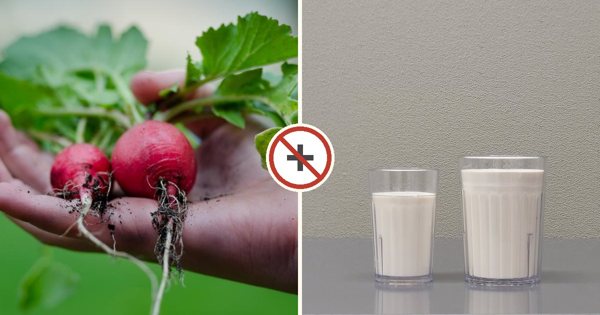 Radish and milk shown together with a do-not-combine symbol
