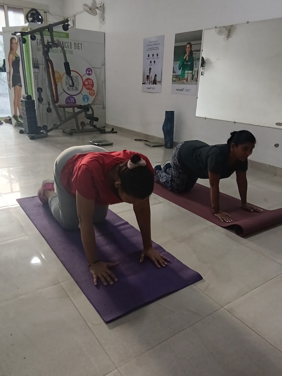 FitPaanth
